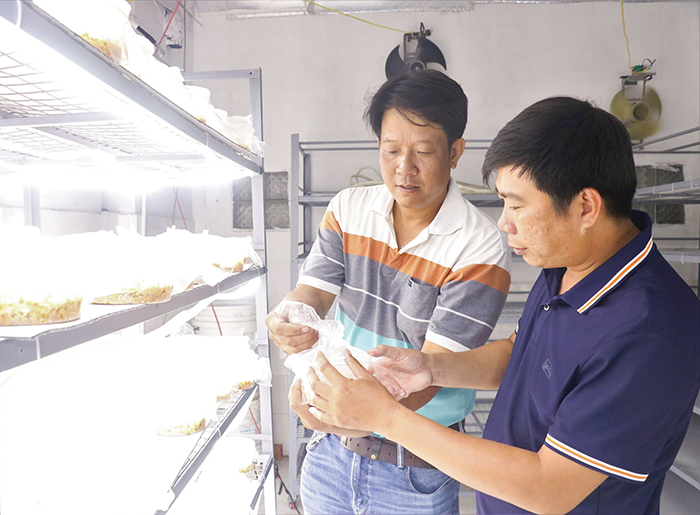 Kế hoạch mở rộng ra thị trường quốc tế