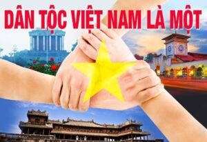 Triển khai những chính sách mới